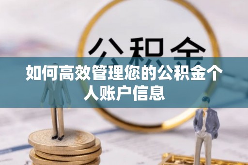 凤县如何高效管理您的公积金个人账户信息