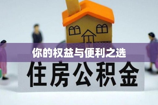 凤县你的权益与便利之选
