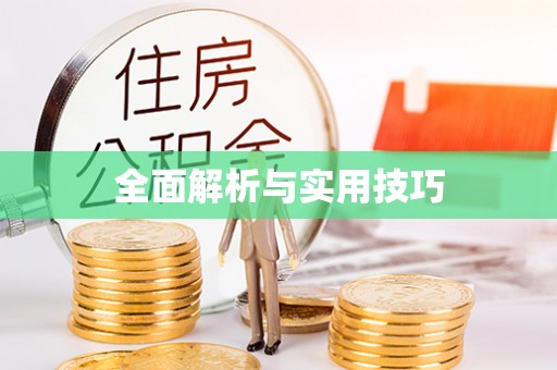 凤县全面解析与实用技巧