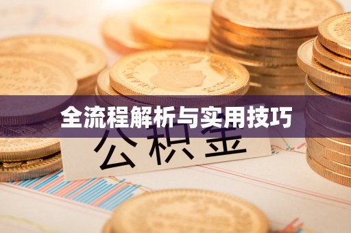 凤县全流程解析与实用技巧