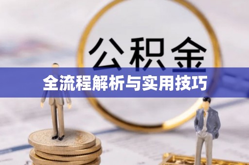 凤县全流程解析与实用技巧
