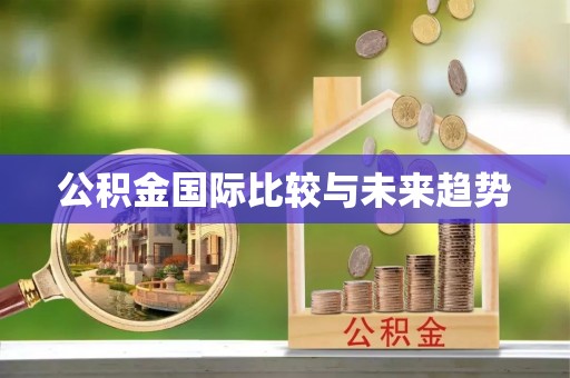 凤县公积金国际比较与未来趋势