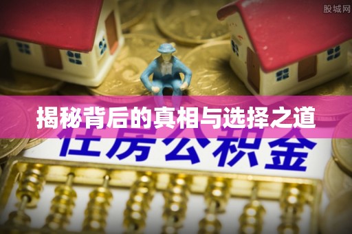 凤县揭秘背后的真相与选择之道