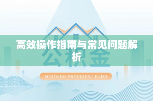 凤县高效操作指南与常见问题解析