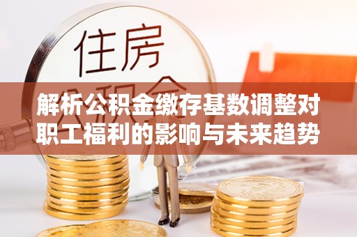 凤县解析公积金缴存基数调整对职工福利的影响与未来趋势