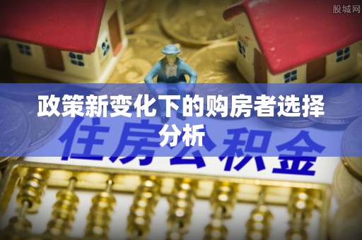 凤县政策新变化下的购房者选择分析