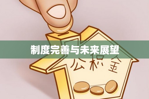 凤县制度完善与未来展望