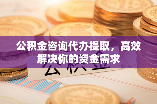 凤县公积金咨询代办提取，高效解决你的资金需求