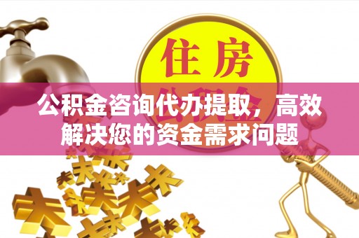 凤县公积金咨询代办提取，高效解决您的资金需求问题