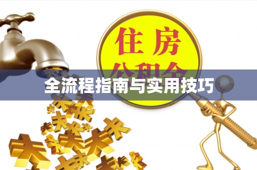 凤县全流程指南与实用技巧