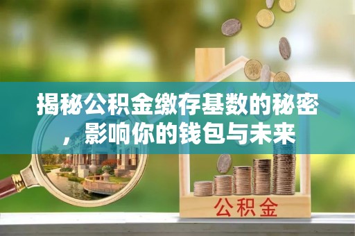 凤县揭秘公积金缴存基数的秘密，影响你的钱包与未来