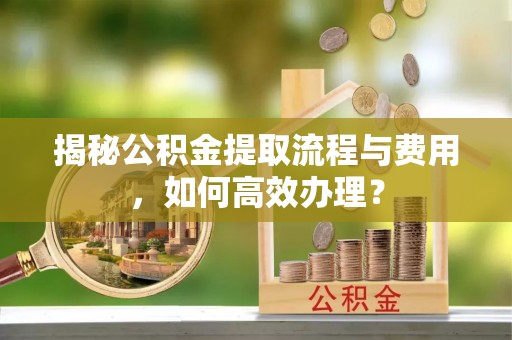 凤县揭秘公积金提取流程与费用，如何高效办理？
