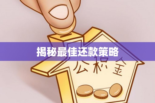 凤县揭秘最佳还款策略