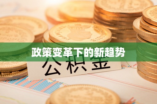 凤县政策变革下的新趋势