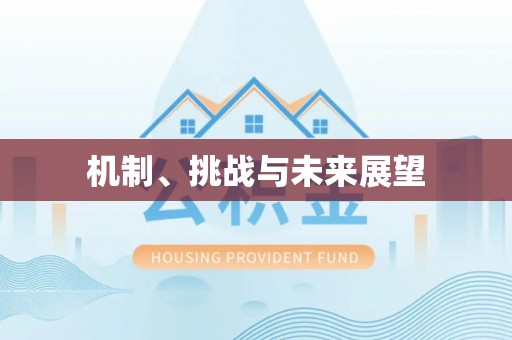 凤县机制、挑战与未来展望
